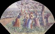 Peasant Women Placing pea-Sticks in the Ground, Camille Pissarro